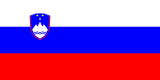 Slovenian flag
