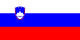 Slovenian flag
